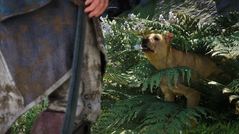 Black Flag Resynced’s September Patch Adds a Rescue Dog and Cleaner Looks